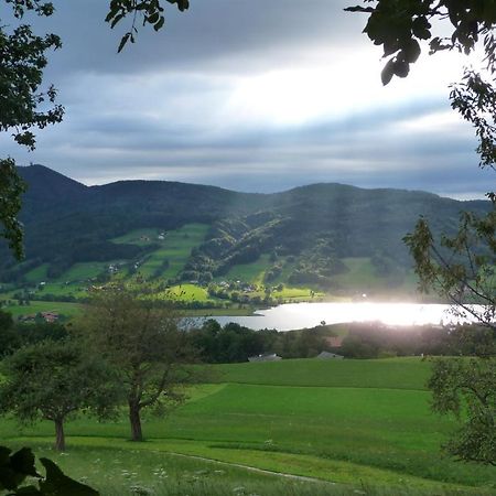 Familienferienhof Stabauer Zell am Moos Luaran gambar
