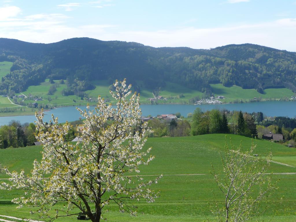 Familienferienhof Stabauer Zell am Moos Luaran gambar