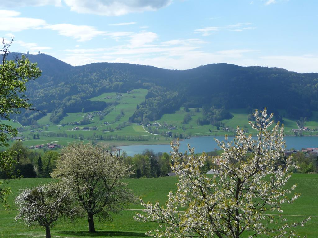 Familienferienhof Stabauer Zell am Moos Luaran gambar