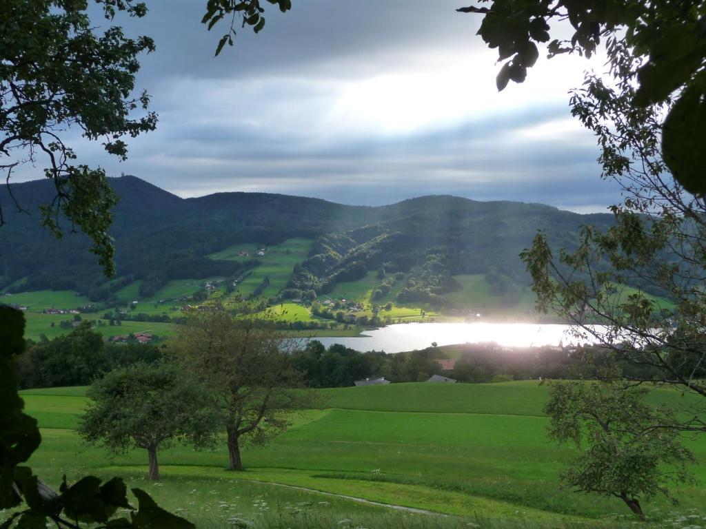 Familienferienhof Stabauer Zell am Moos Luaran gambar